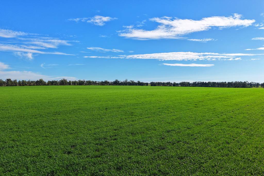 "Wendouree" 2643 Back Trundle Road, Parkes NSW 2870