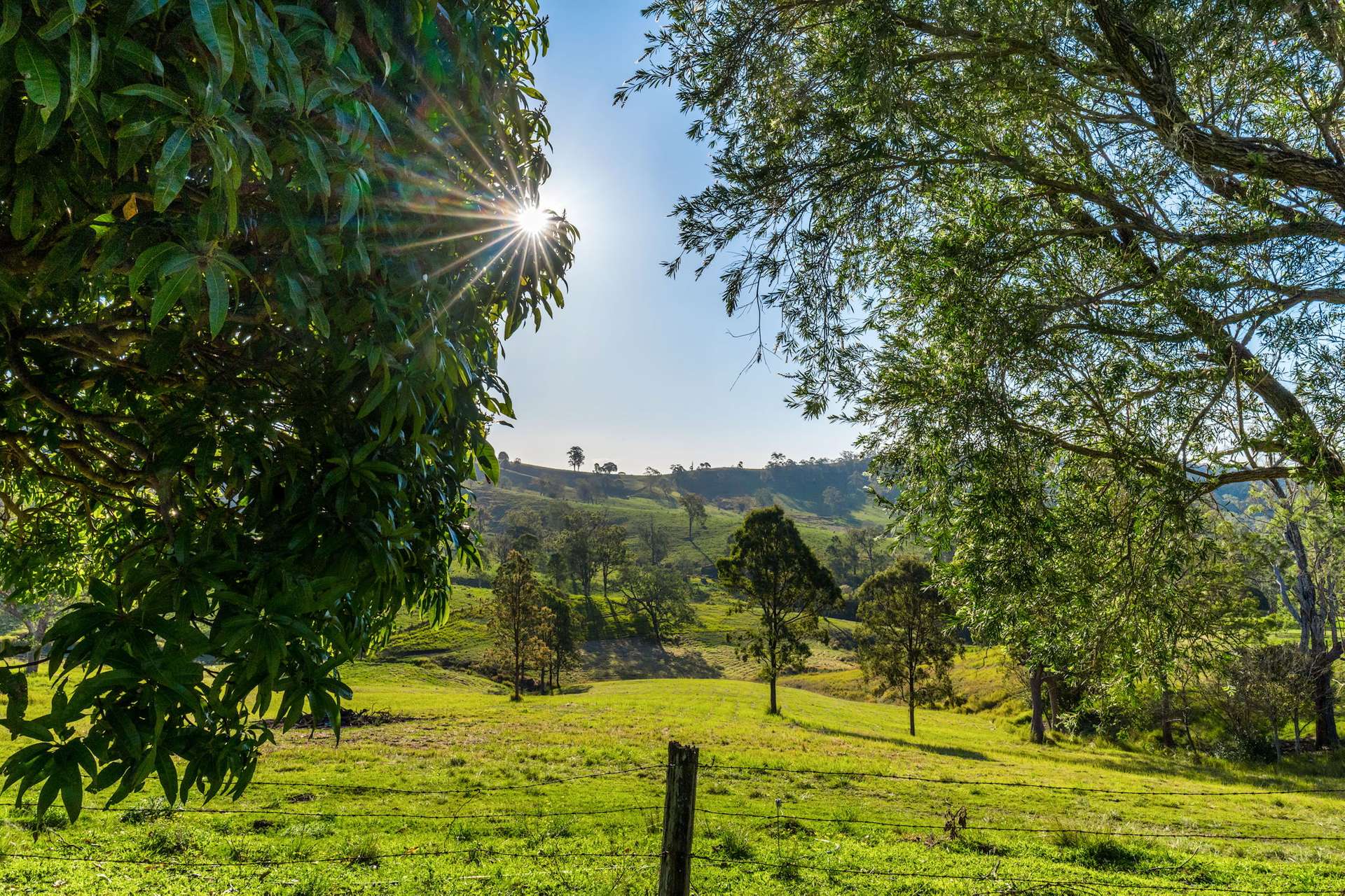 372 Ettrick Road, Kyogle Sold by Farmbuy.com - image 29