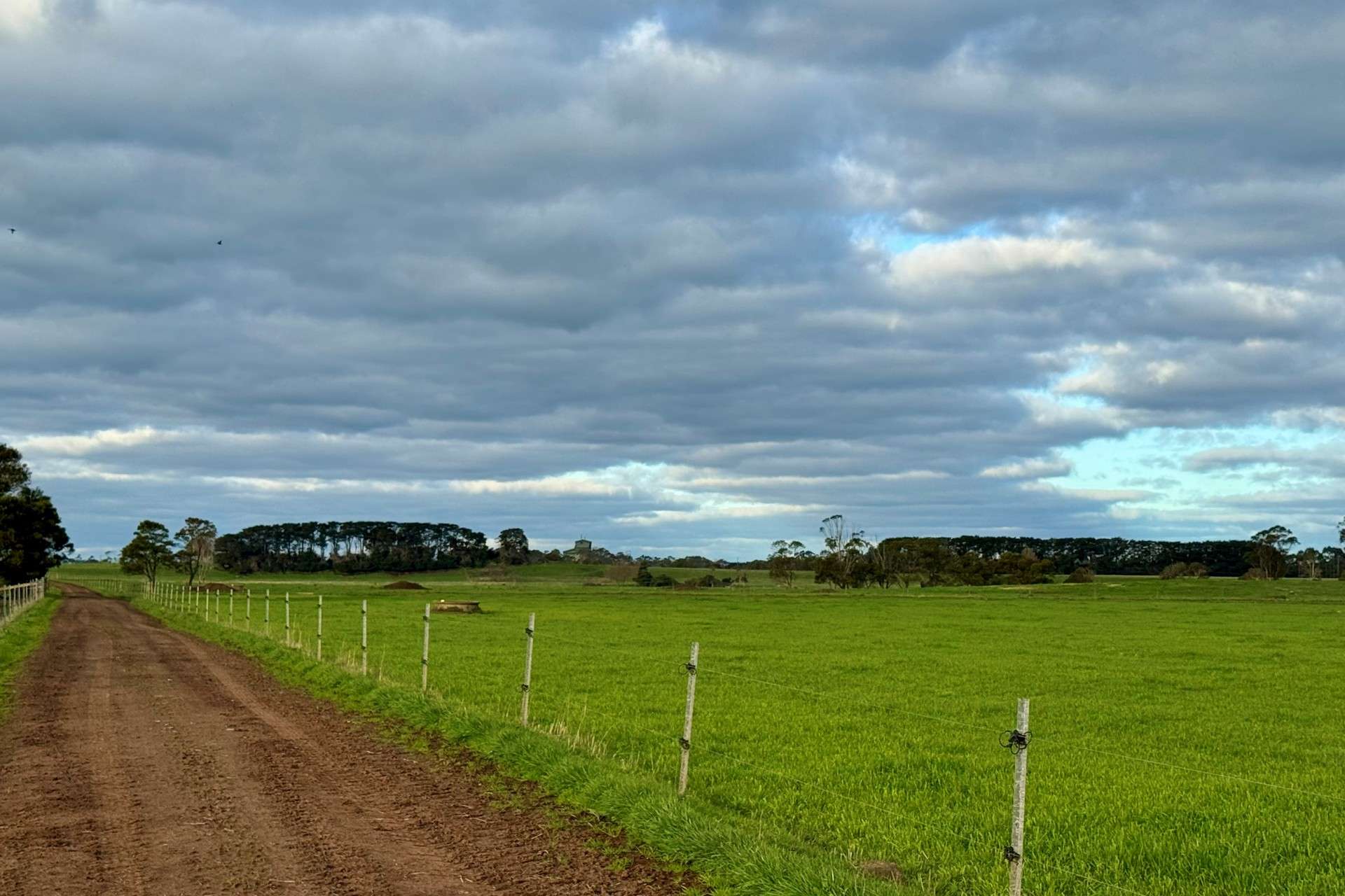 181 Cobden-Terang Road, Cobden Sold by Farmbuy.com - image 24