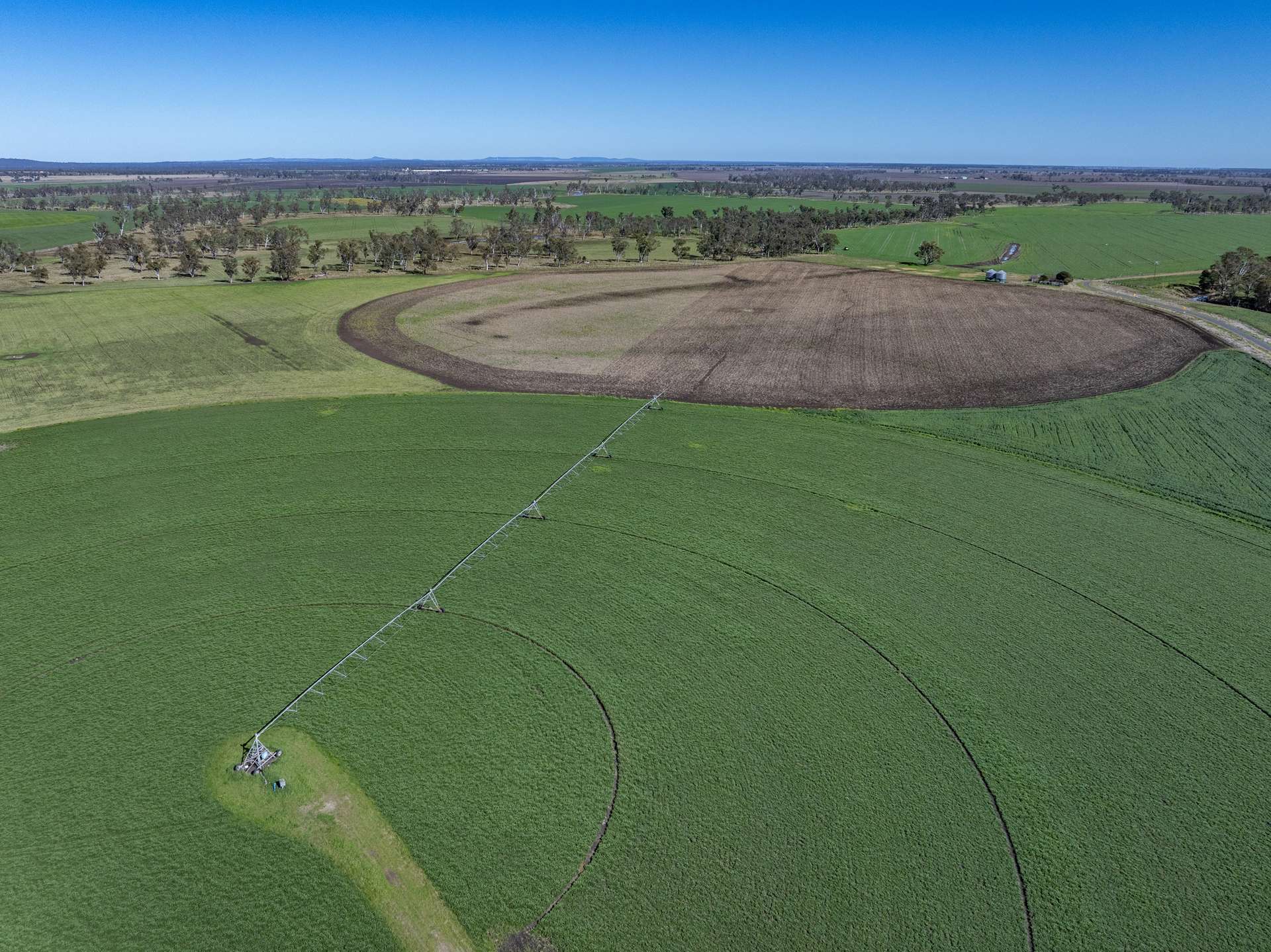214 Booligar Road, Ellangowan Sold by Farmbuy.com - image 1