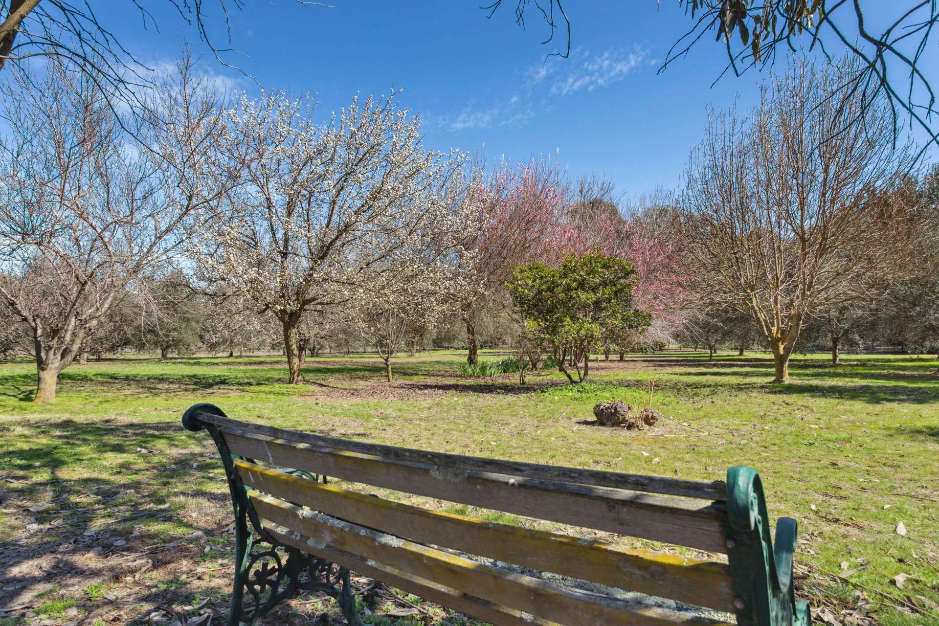 105 Wargeila Rd, Yass Sold by Farmbuy.com - image 2