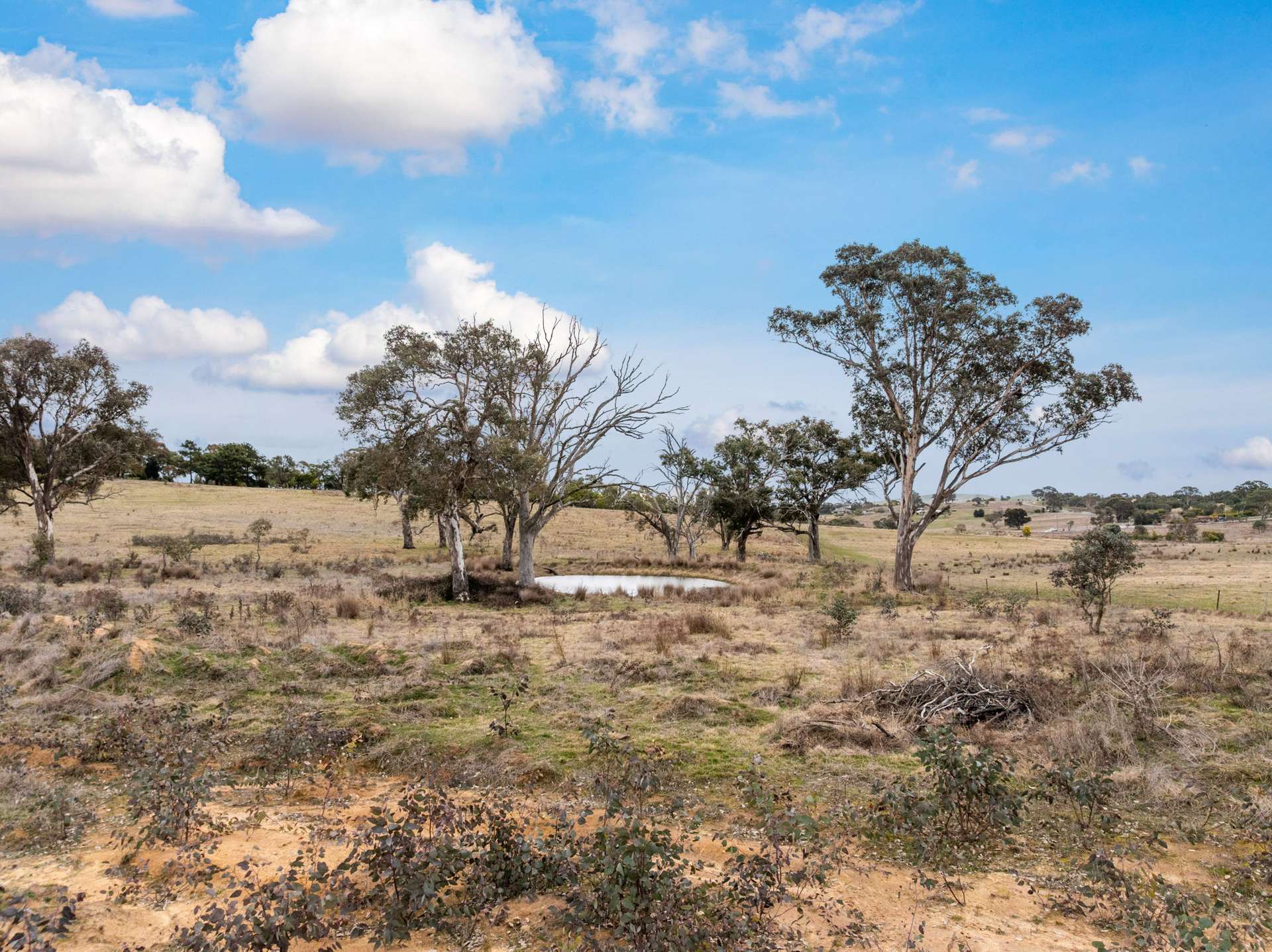 10 Ryslipp Dr, Murrumbateman For Sale by Farmbuy.com - image 8