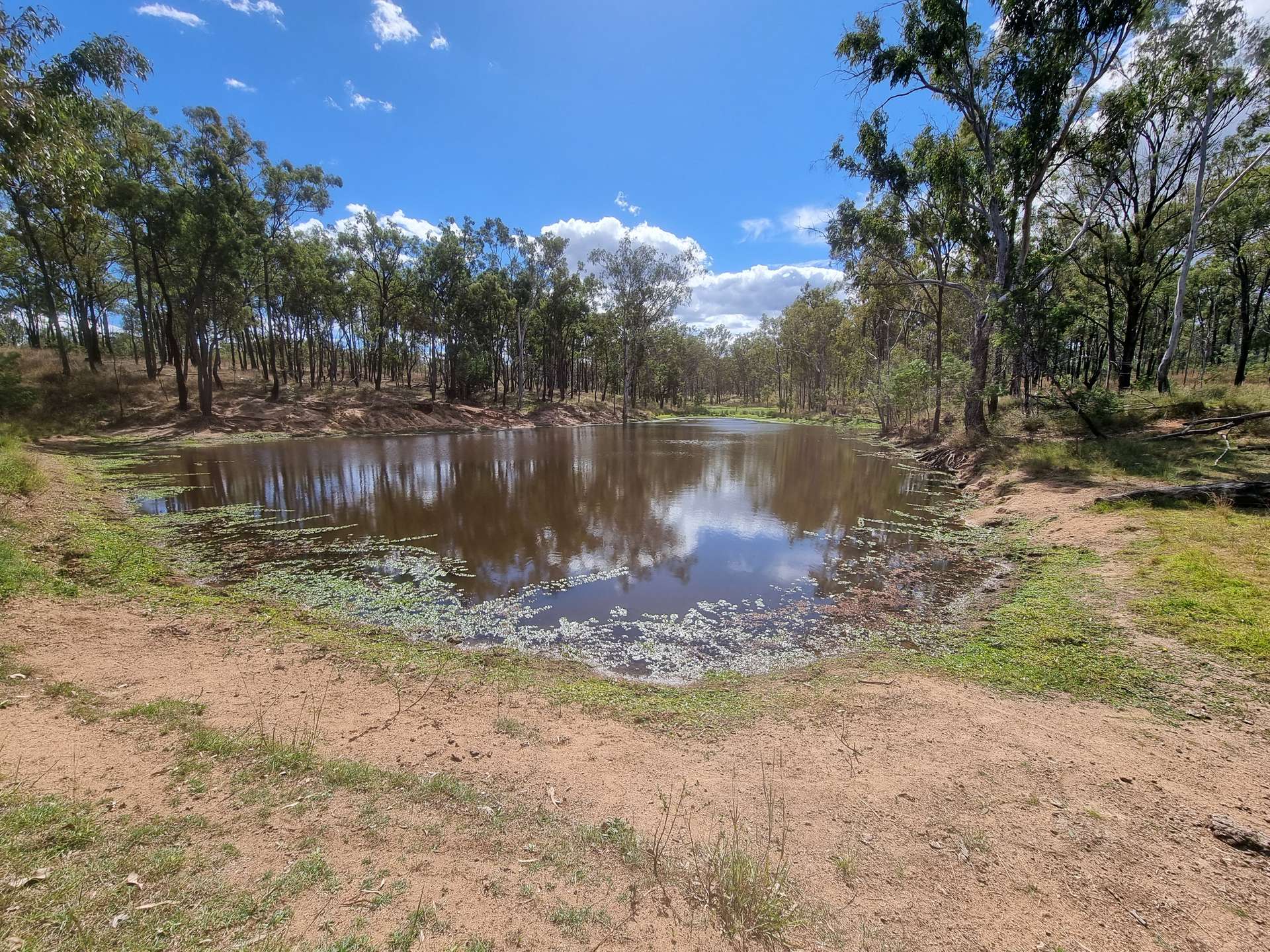 360 Lewis Duff Road, Durong Sold by Farmbuy.com - image 29