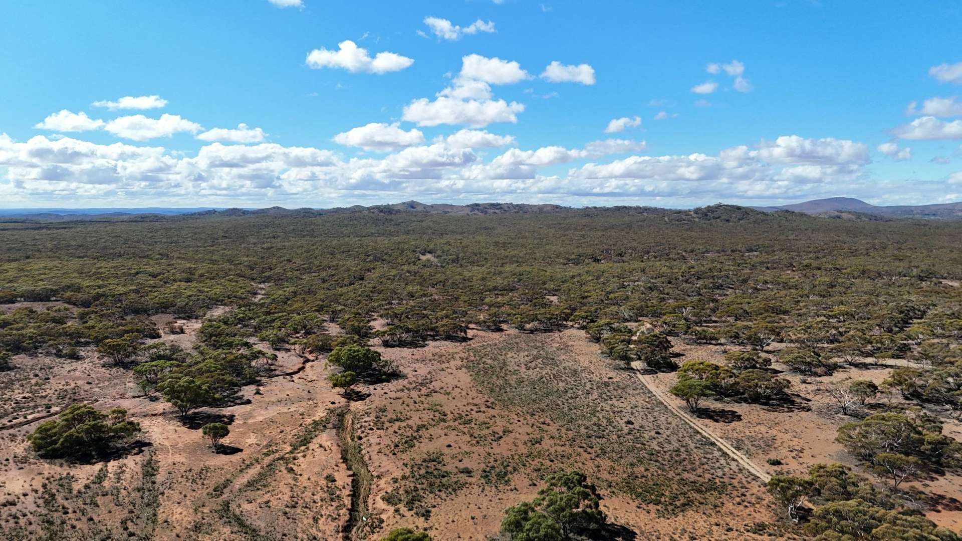 Section 127, 133, 13 184 Mount Grainger Road, Dawson Sold by Farmbuy.com - image 9
