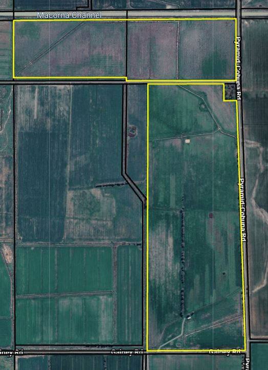 CA36, 40B & 41B Pyramid-Cohuna Road, Cohuna For Sale by Farmbuy.com - image 3