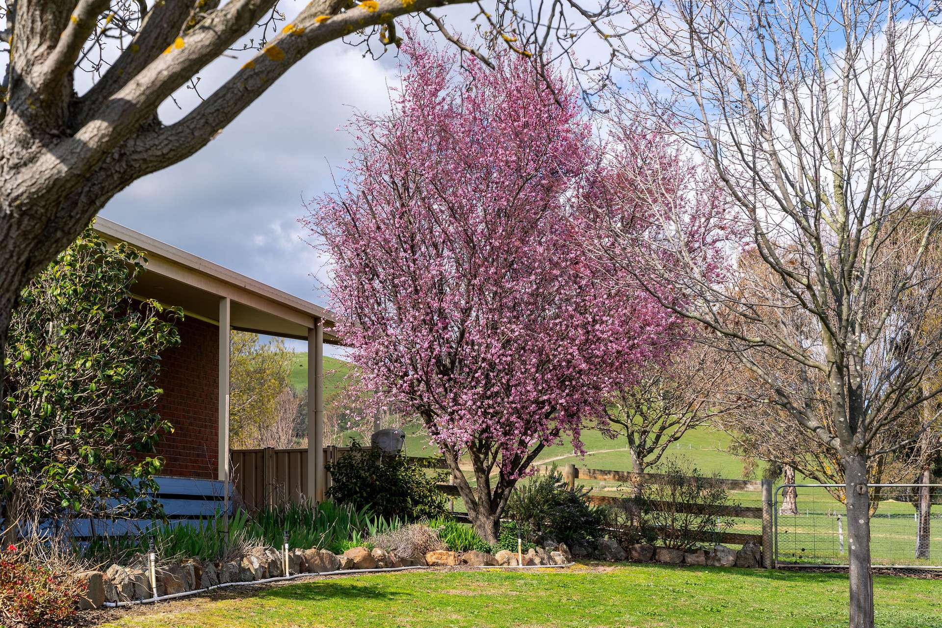 6350 Maroondah Highway, Yarck Sold by Farmbuy.com - image 15
