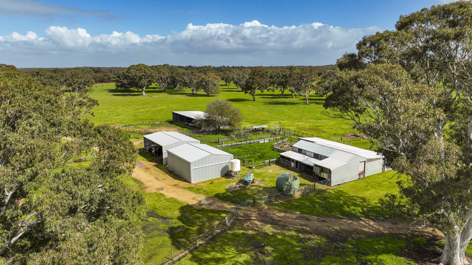 447 Charcutt Road, Maaoupe Sold by Farmbuy.com - image 11