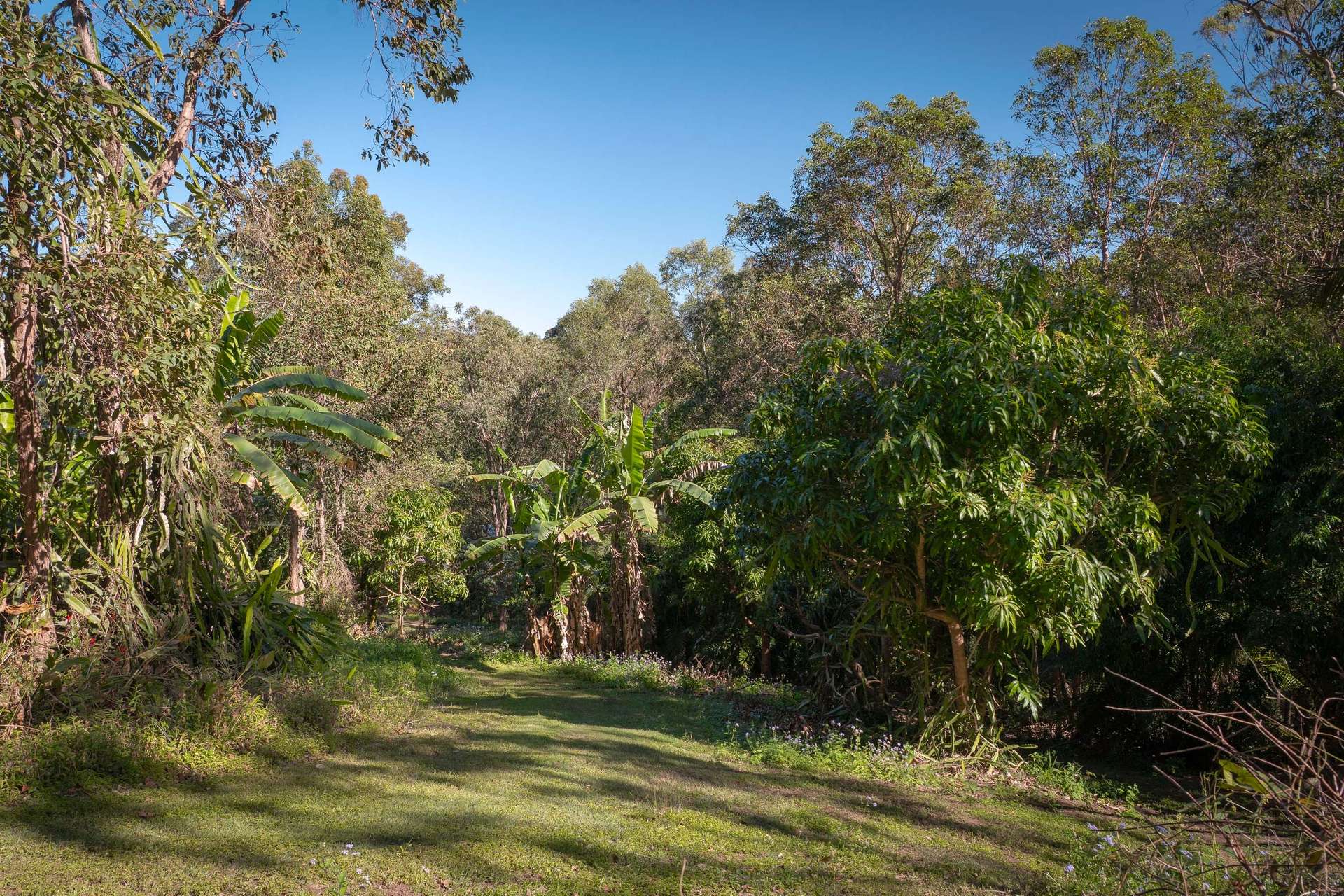 15B Blue Hills Drive, Bunya For Sale by Farmbuy.com - image 6