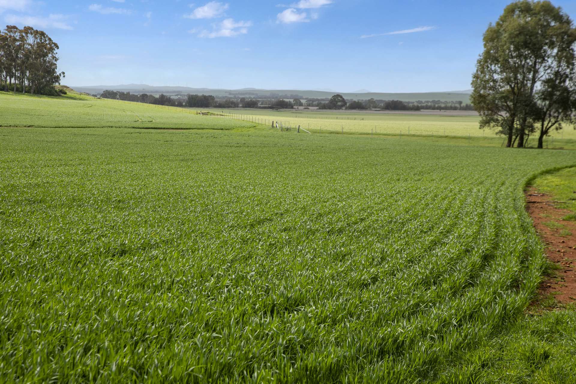 'Toringa' Toringa Road, Farrell Flat Sold by Farmbuy.com - image 6