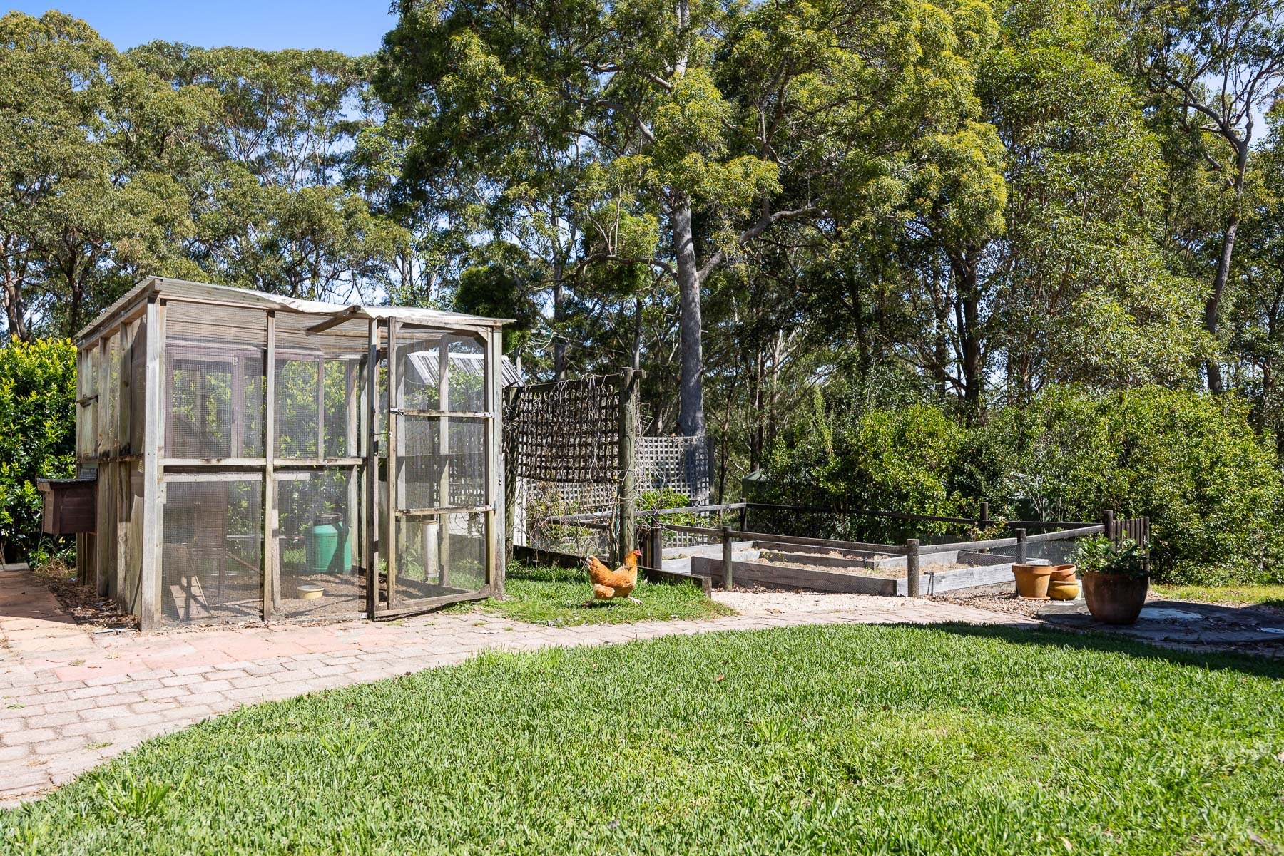 110 Dean Road, Verrierdale Sold by Farmbuy.com - image 20