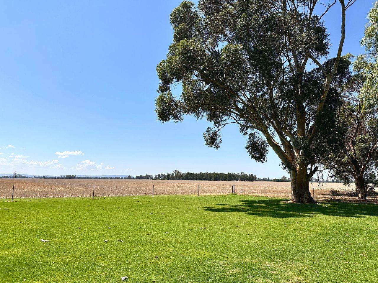 349 Warregal Road, Parkes For Sale by Farmbuy.com - image 33