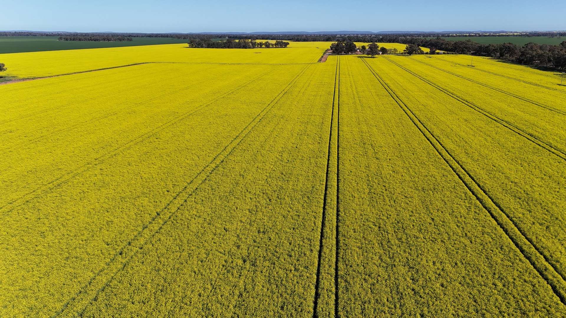 349 Warregal Road, Parkes For Sale by Farmbuy.com - image 13
