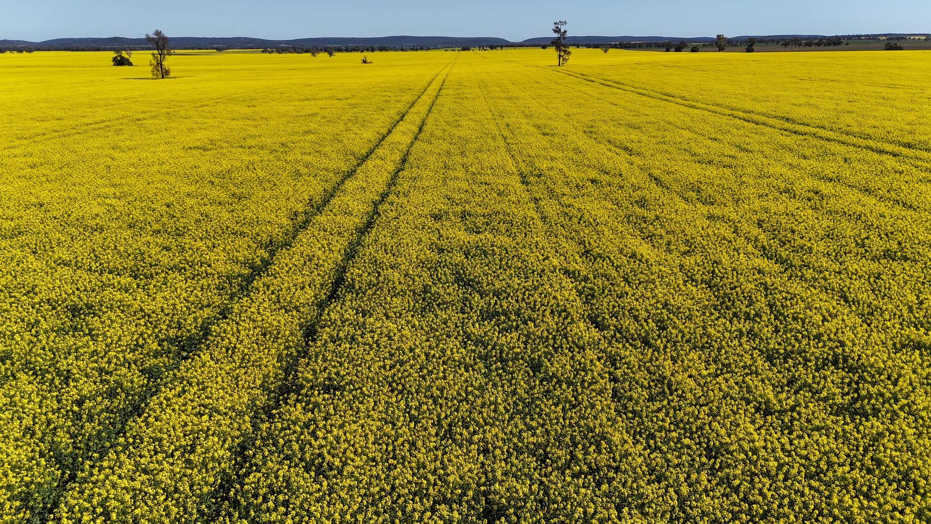 349 Warregal Road, Parkes For Sale by Farmbuy.com - image 22