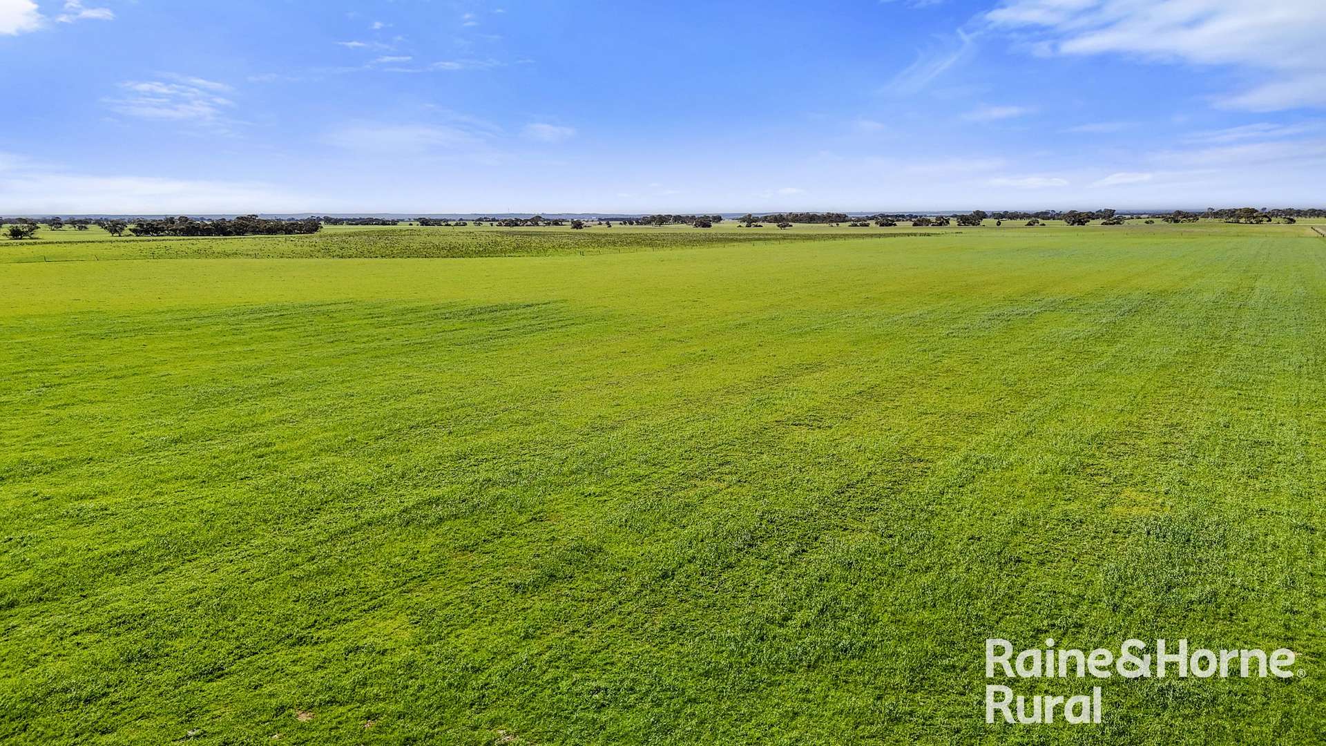 378 Jones Road, Yumali For Sale by Farmbuy.com - image 10