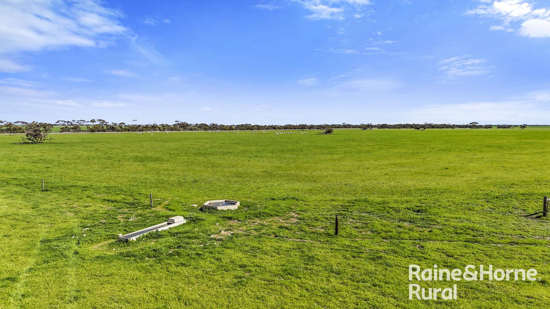 378 Jones Road, Yumali For Sale by Farmbuy.com - image 33