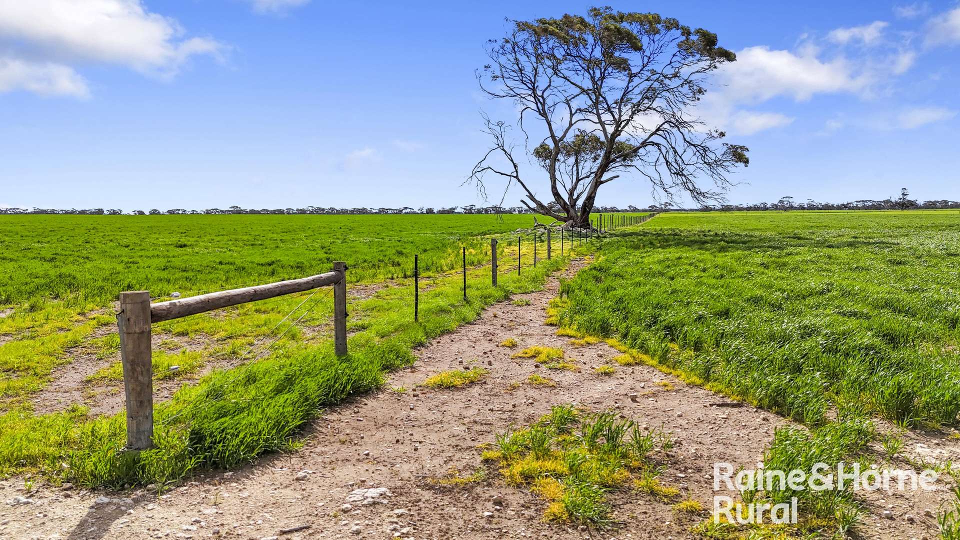 714 Buccleuch South Road, Yumali For Sale by Farmbuy.com - image 8
