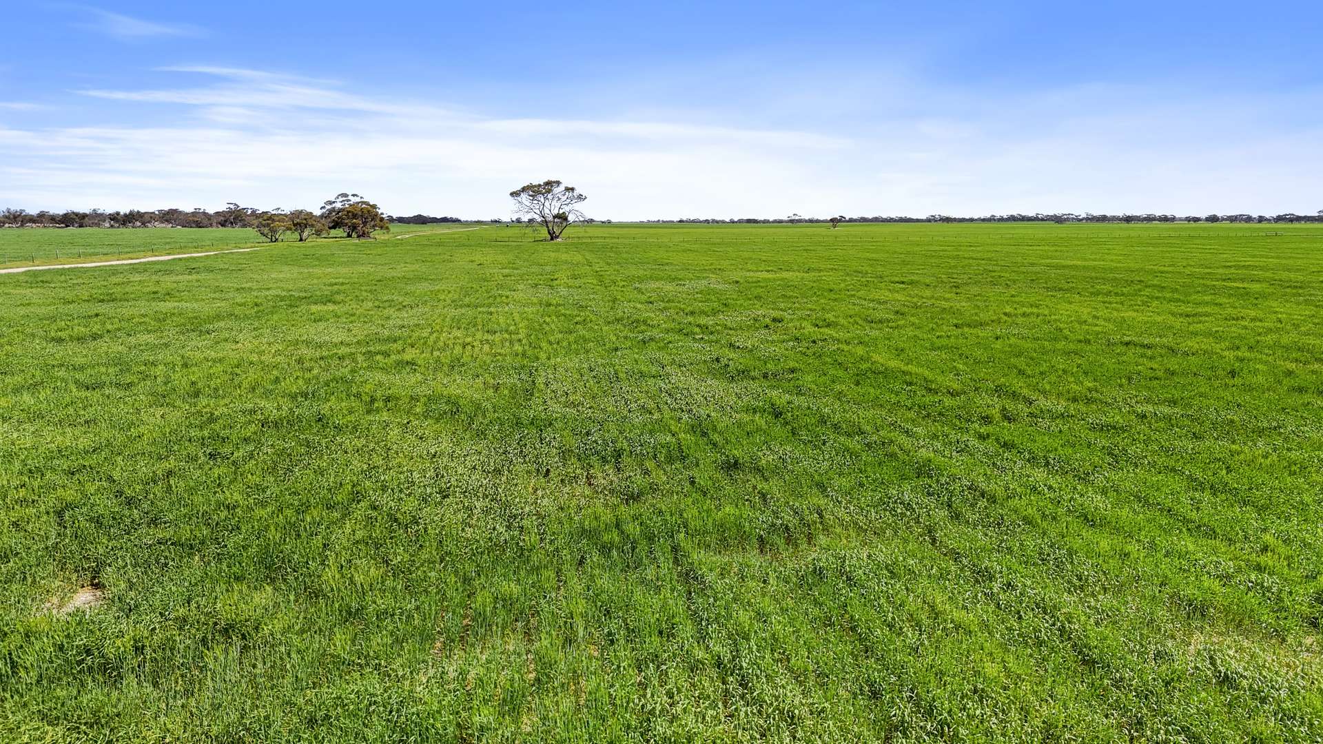 714 Buccleuch South Road, Yumali For Sale by Farmbuy.com - image 30