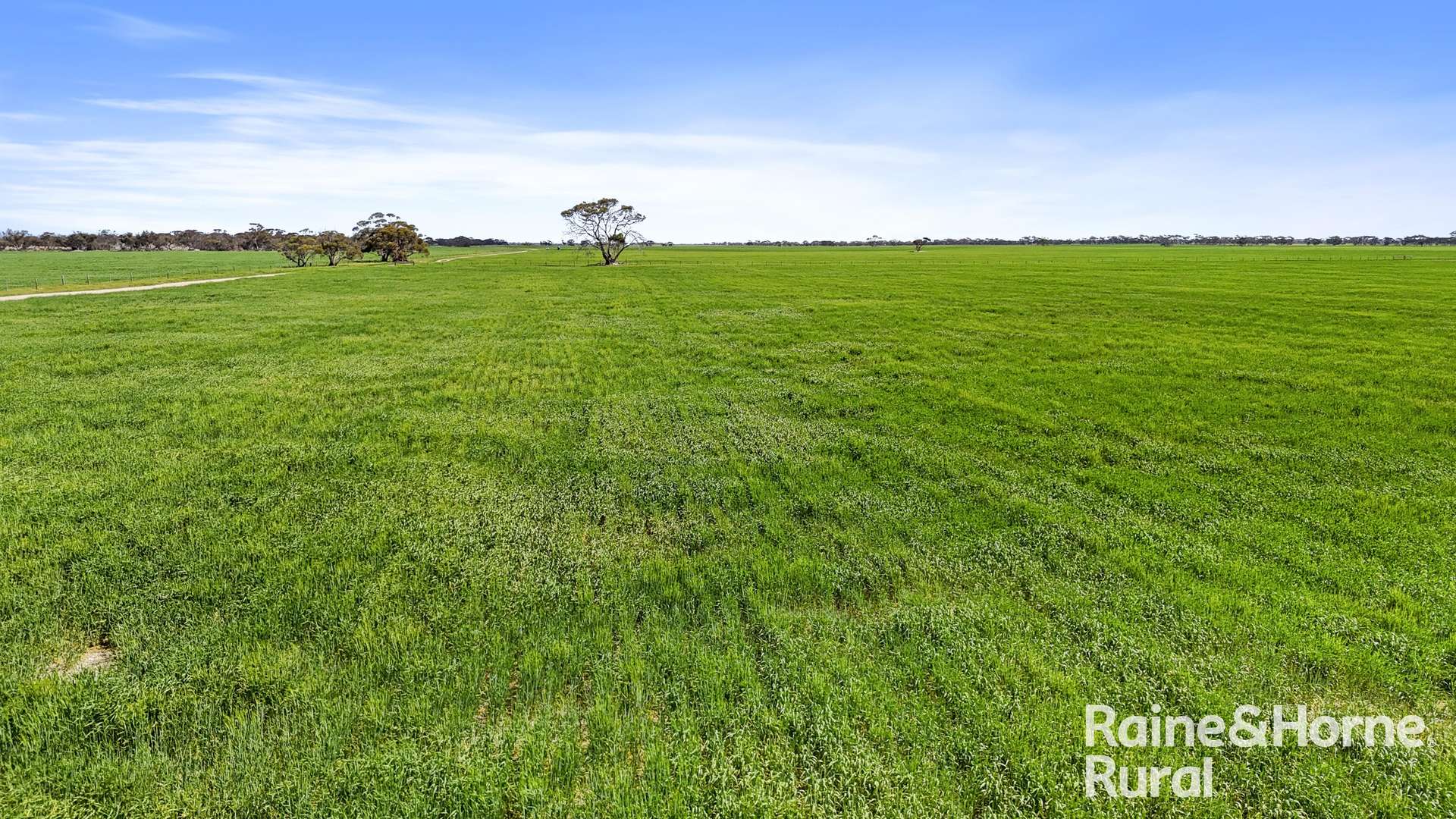 714 Buccleuch South Road, Yumali For Sale by Farmbuy.com - image 6