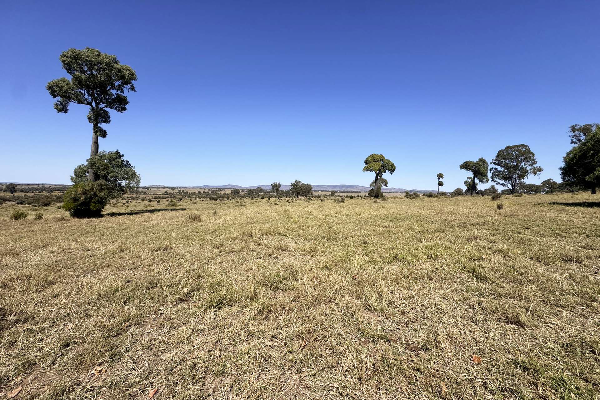 450 Orange Creek Road, Biloela Sold by Farmbuy.com - image 2