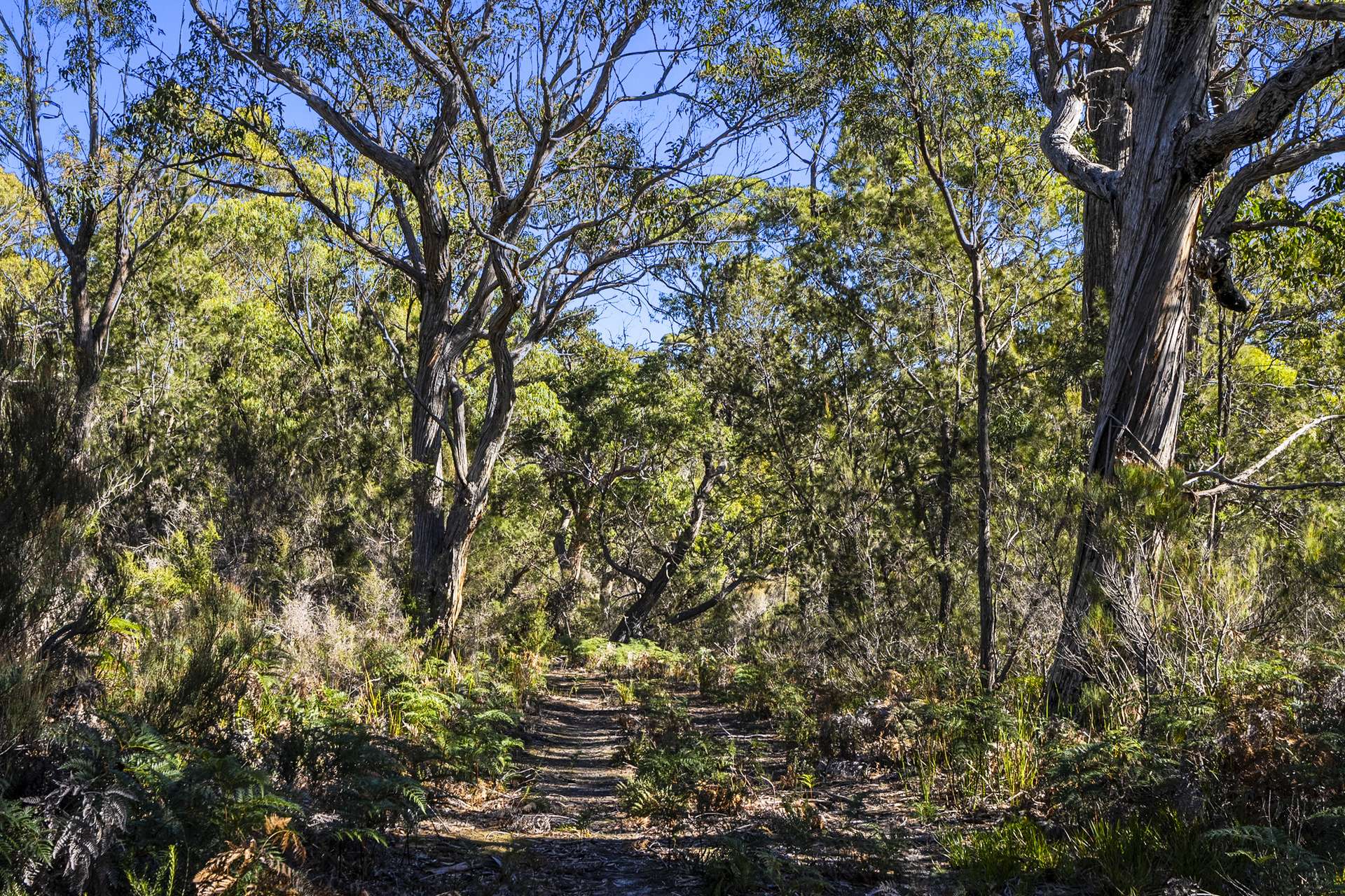 Lot 1, 1, 2,  Sympathy Point Road, Taranna For Sale by Farmbuy.com - image 31