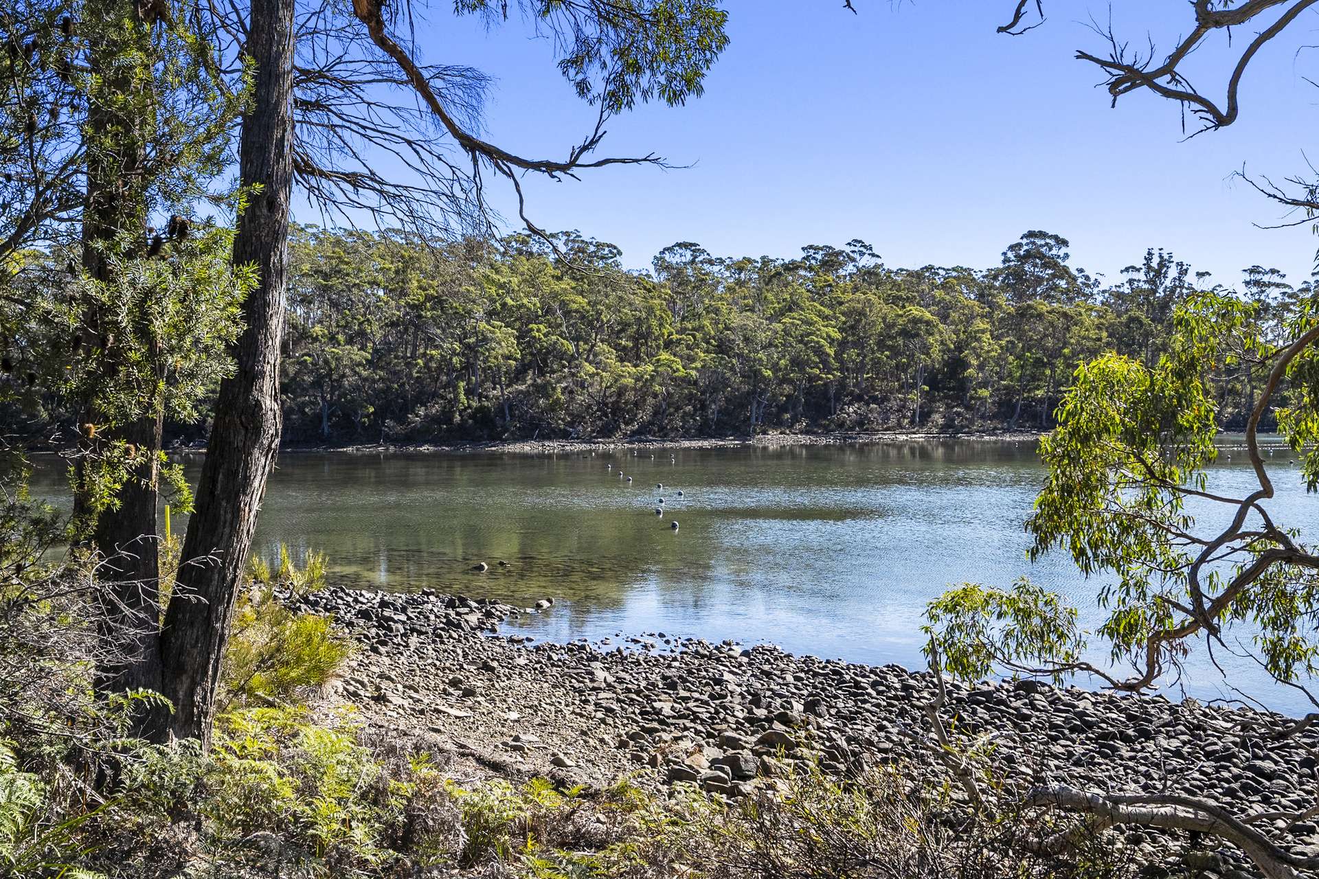 Lot 1, 1, 2,  Sympathy Point Road, Taranna For Sale by Farmbuy.com - image 3
