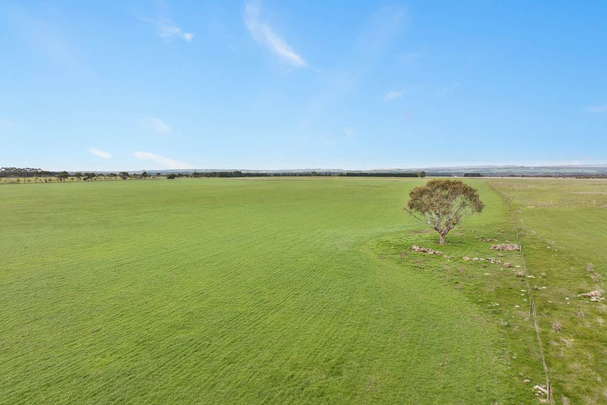 Part Of 470 Ingleby Road, Winchelsea Sold by Farmbuy.com - image 8