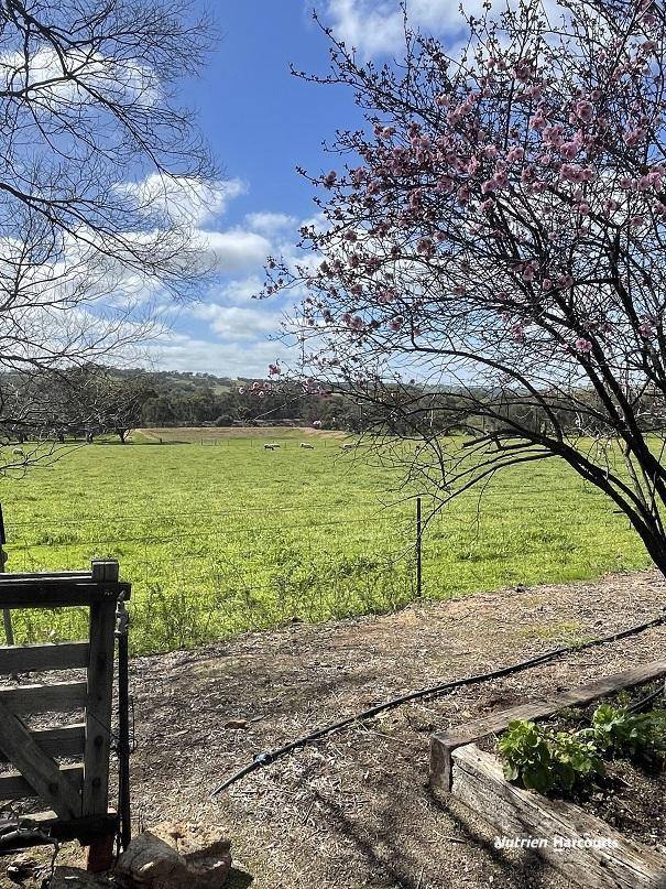 967 Northam-Toodyay Road, Katrine For Sale by Farmbuy.com - image 8