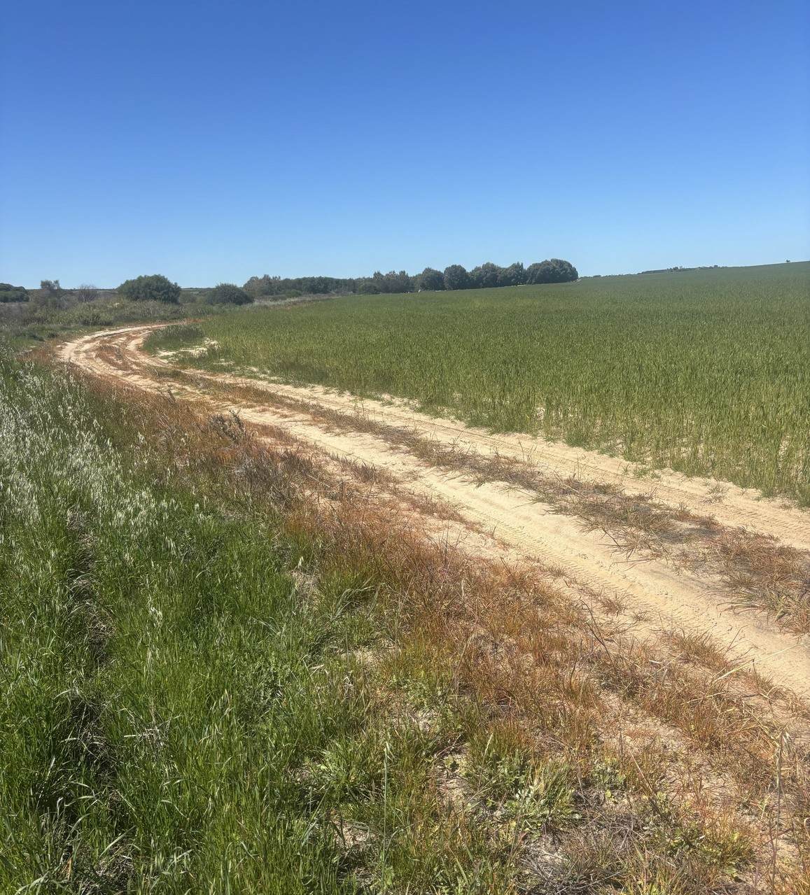 Lot 55 Ahern Place, Hickety For Sale by Farmbuy.com - image 6