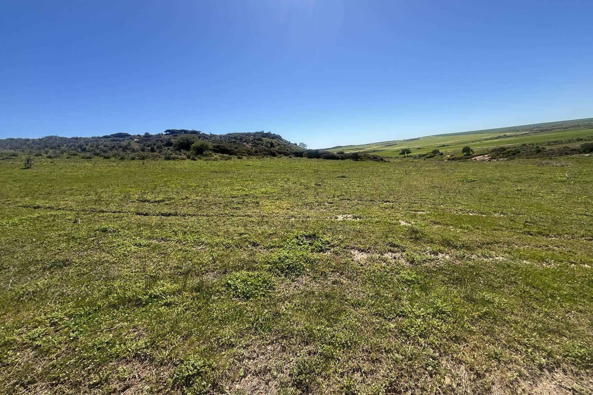 Lot 55 Ahern Place, Hickety For Sale by Farmbuy.com - image 10