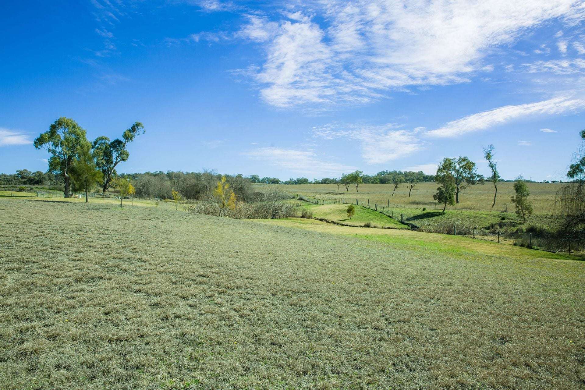 10 Dog Trap Lane, Inverell For Sale by Farmbuy.com - image 10