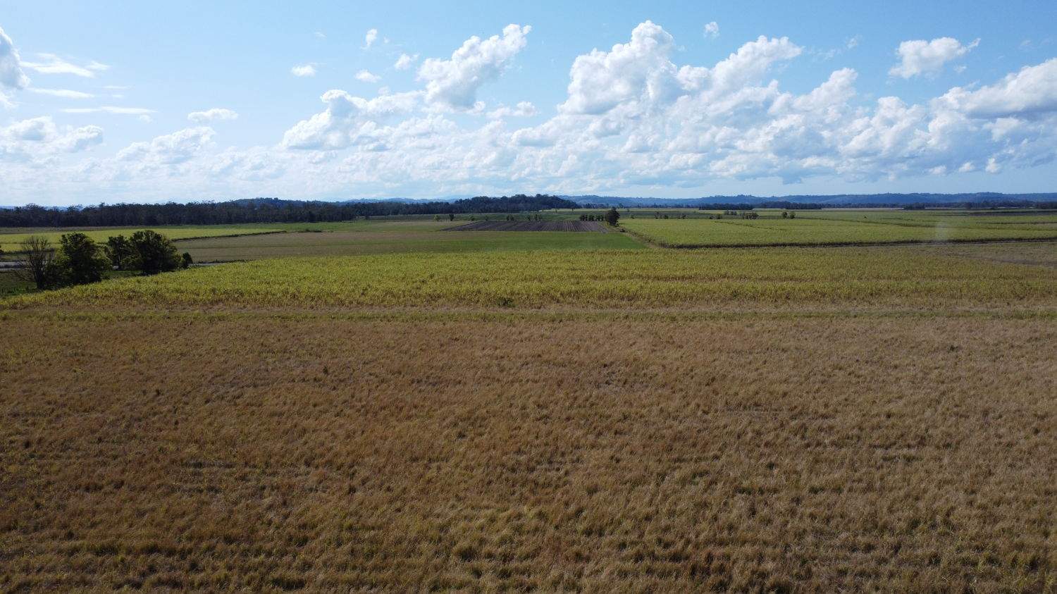 Sheehan Road, East Coraki For Sale by Farmbuy.com - image 3
