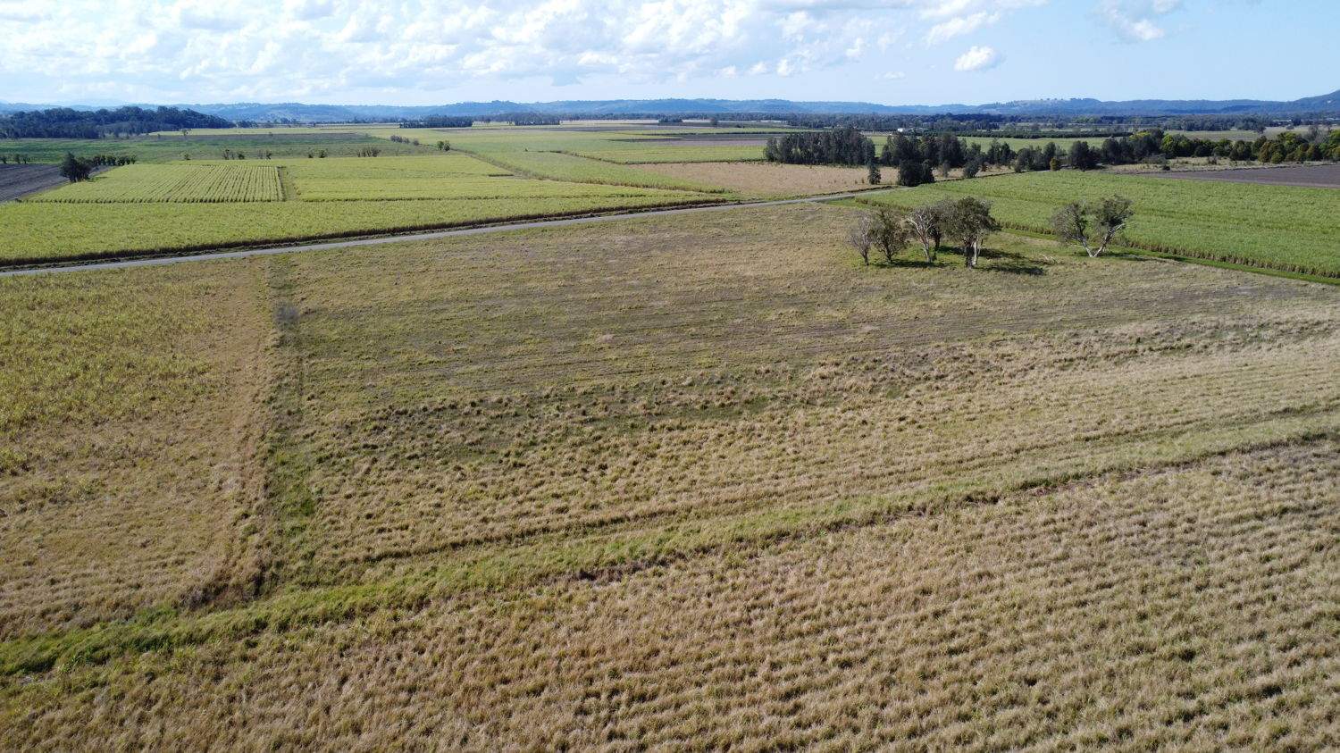 Sheehan Road, East Coraki For Sale by Farmbuy.com - image 5