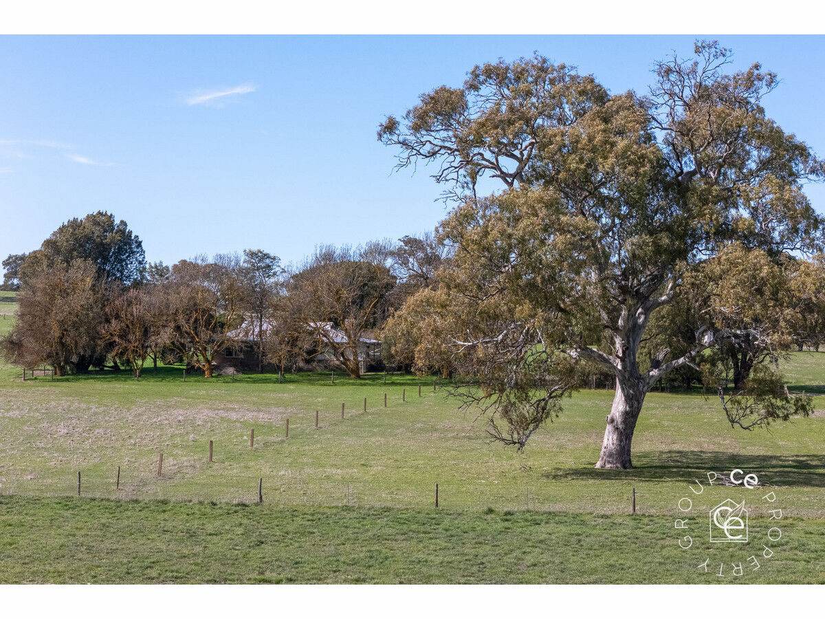2987 Eden Valley Road, Mount Pleasant Sold by Farmbuy.com - image 18