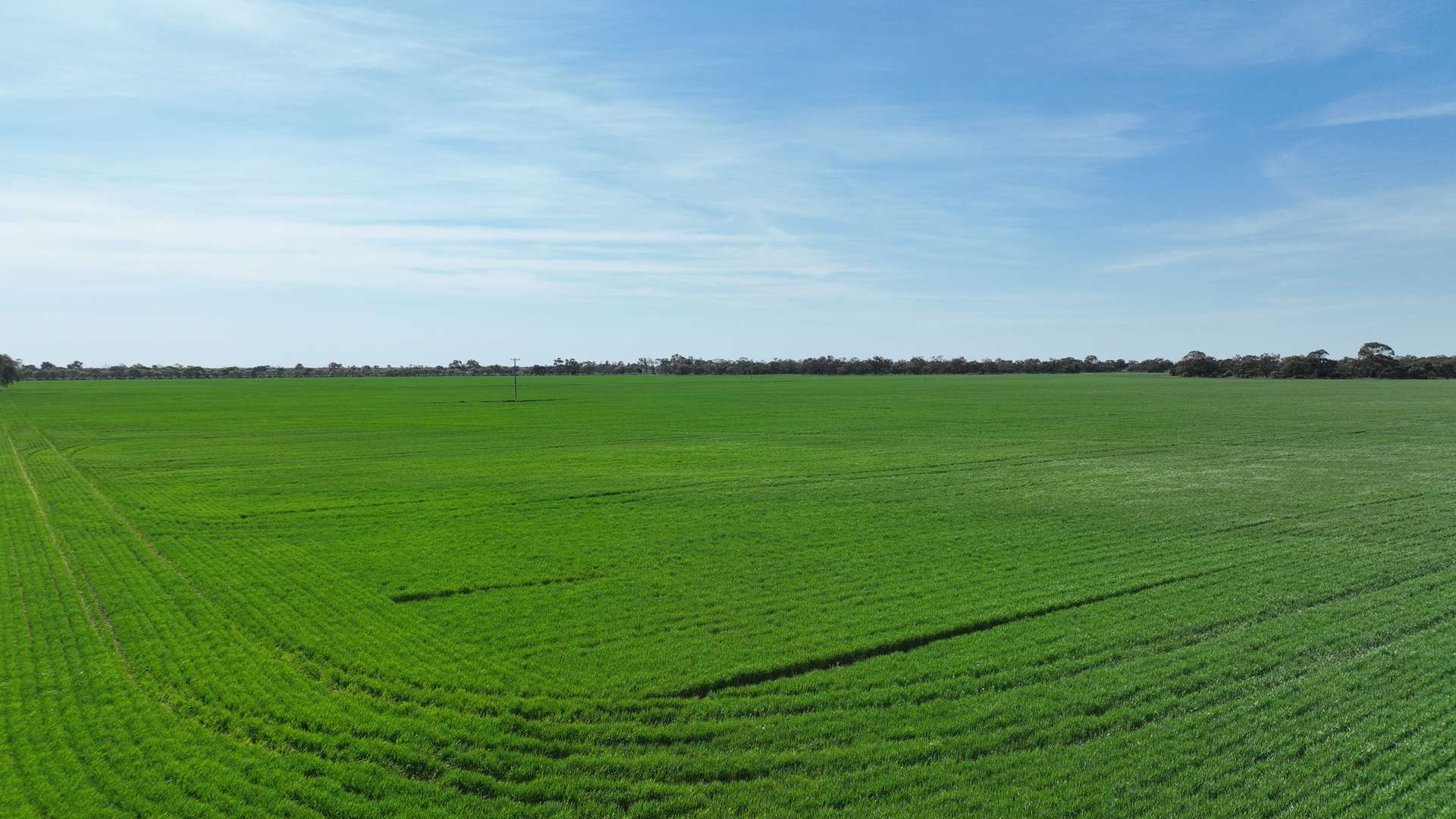 "Randleigh" Stud Park Road, Deniliquin Sold by Farmbuy.com - image 26
