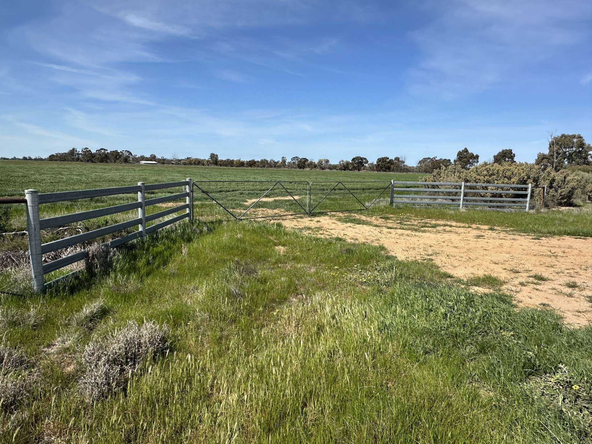 "Randleigh" Stud Park Road, Deniliquin Sold by Farmbuy.com - image 28