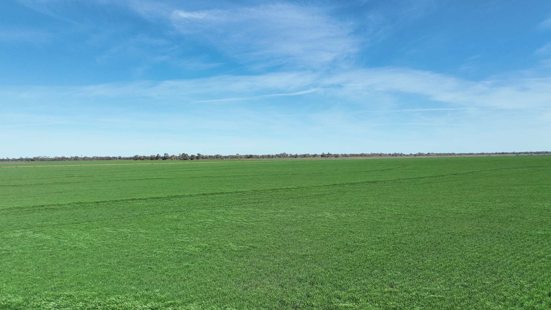 "Randleigh" Stud Park Road, Deniliquin Sold by Farmbuy.com - image 24
