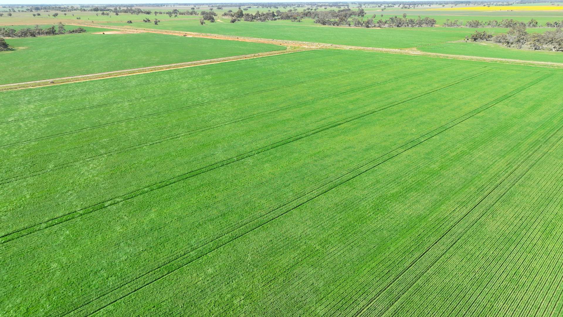 "Randleigh" Stud Park Road, Deniliquin Sold by Farmbuy.com - image 5