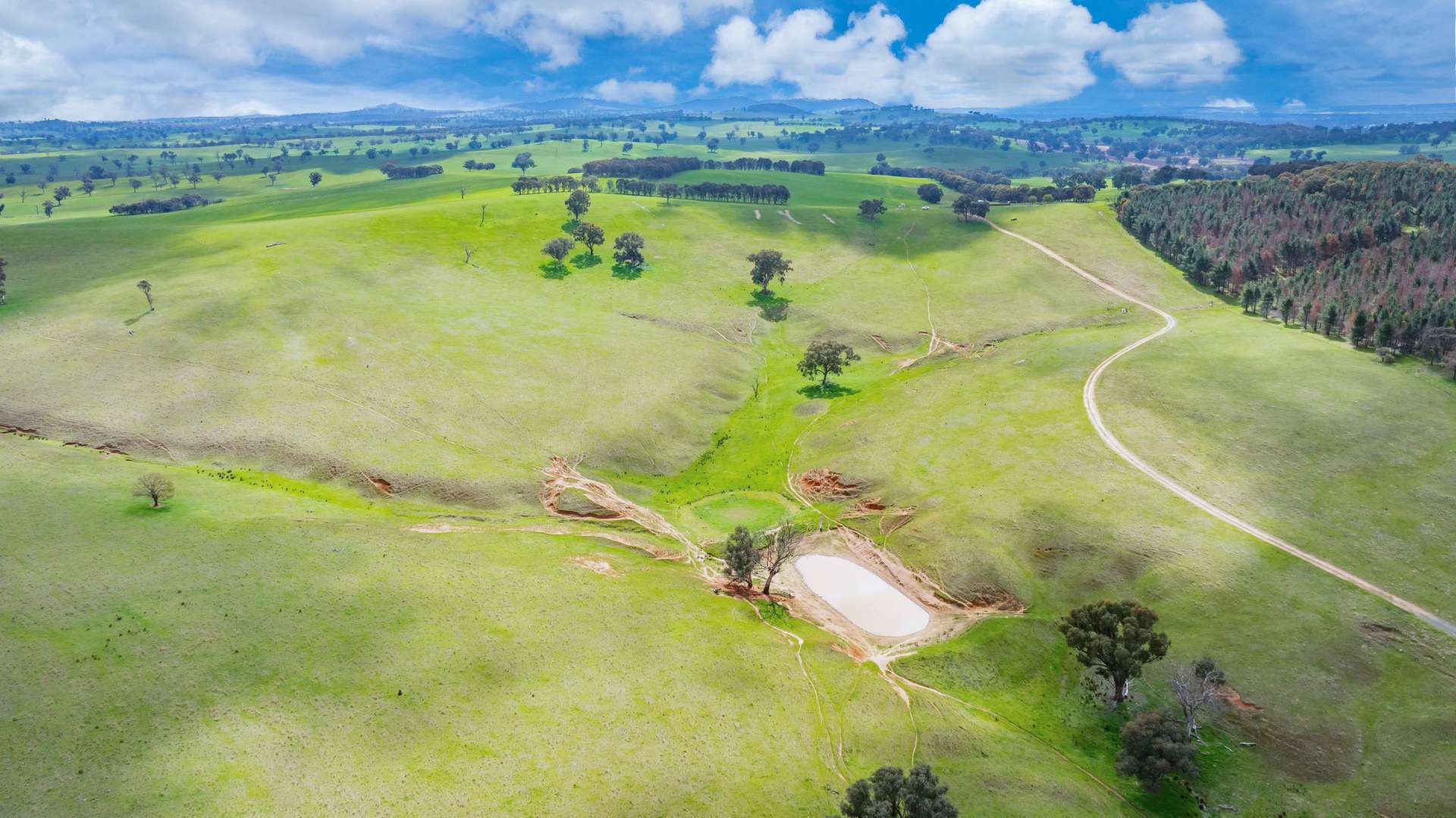 1510 Culcairn Holbrook Road, Morven For Sale by Farmbuy.com - image 17