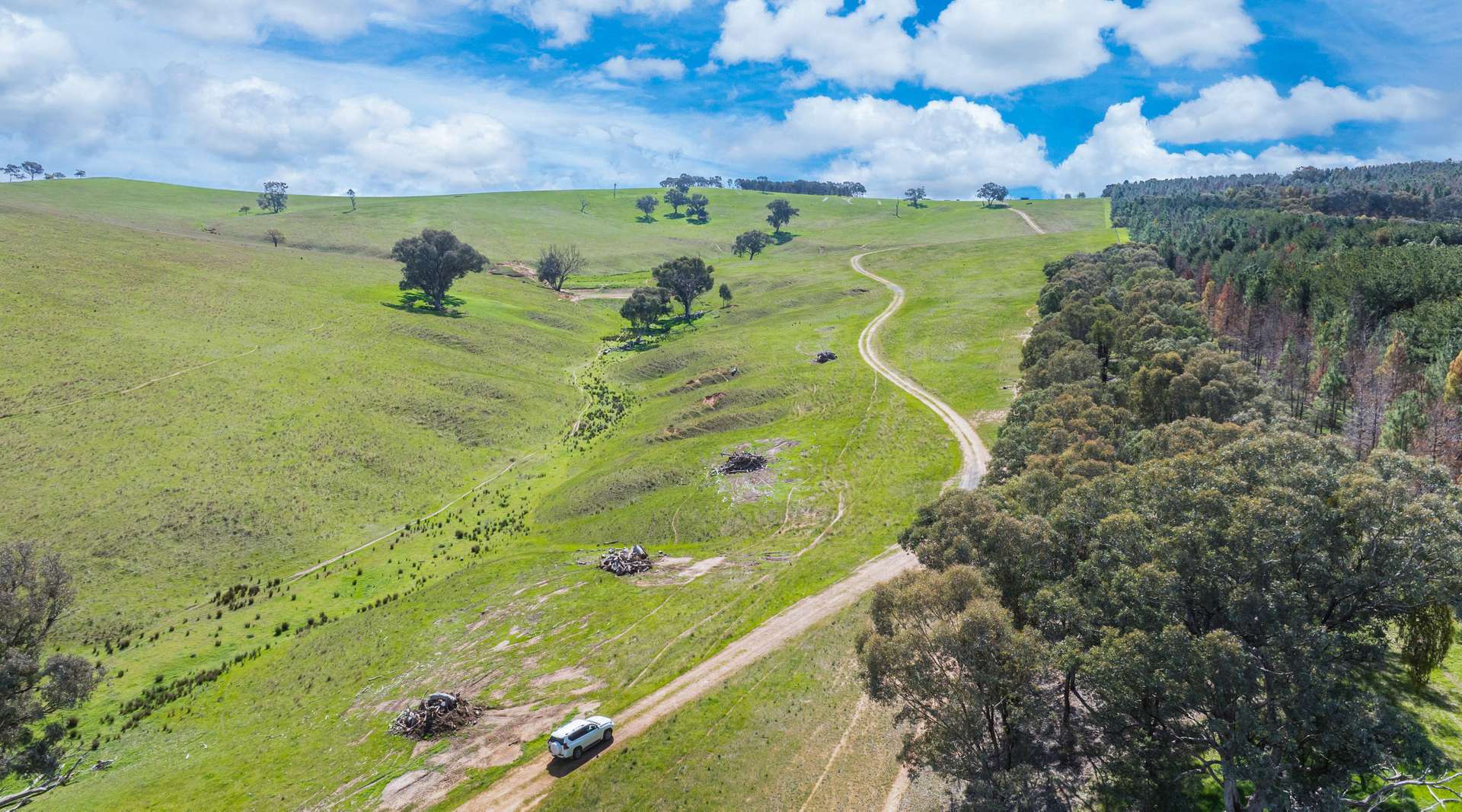 1510 Culcairn Holbrook Road, Morven For Sale by Farmbuy.com - image 16