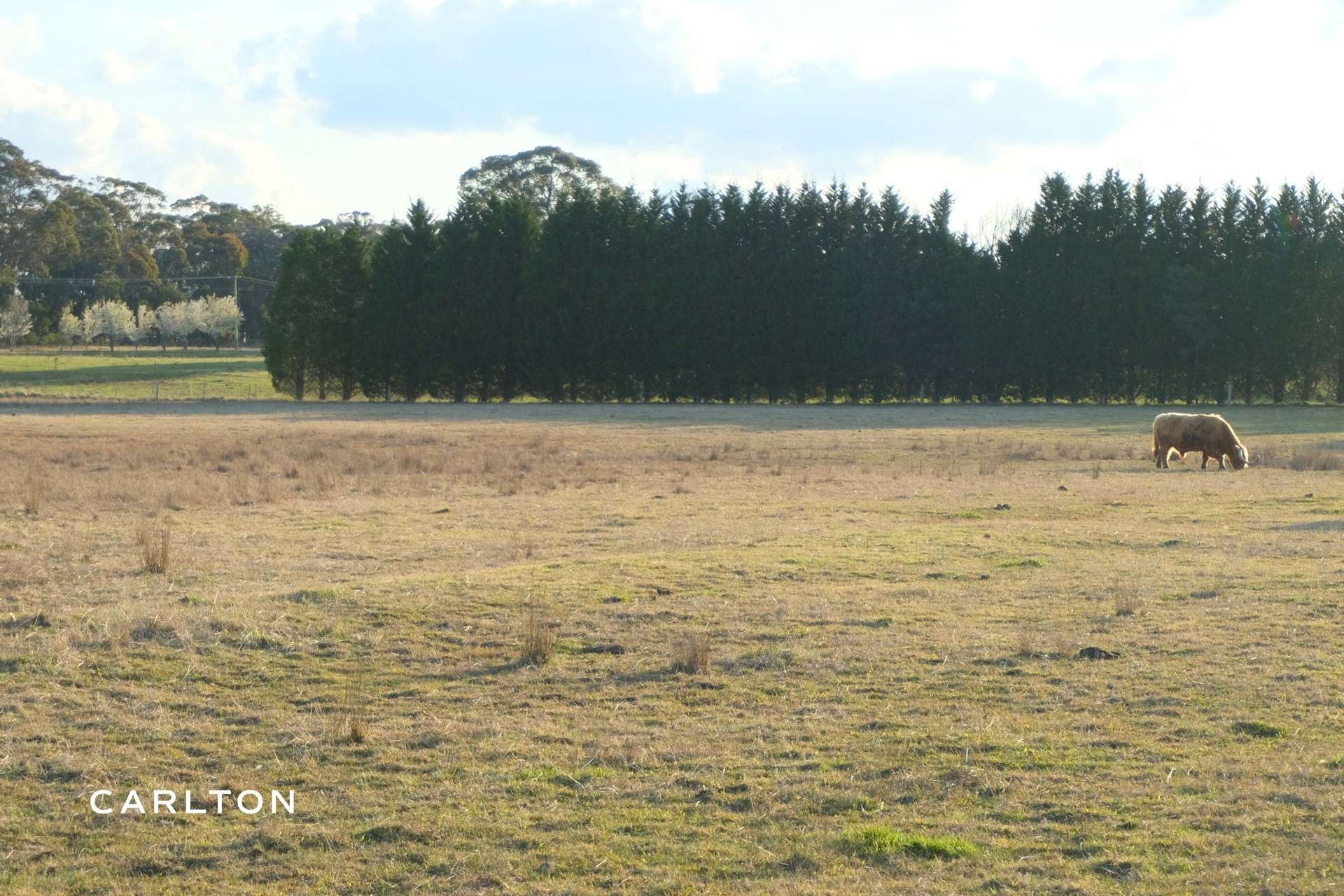 164 Joadja Road, Mandemar Sold by Farmbuy.com - image 21