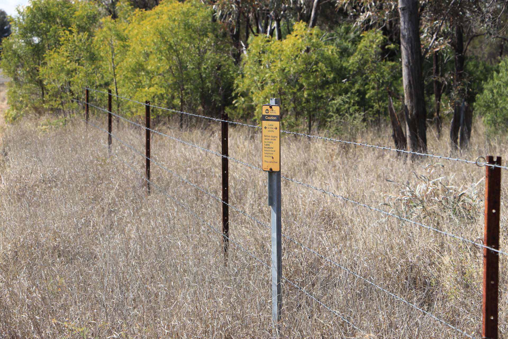 0 Raslie Road, Wallumbilla Sold by Farmbuy.com - image 16