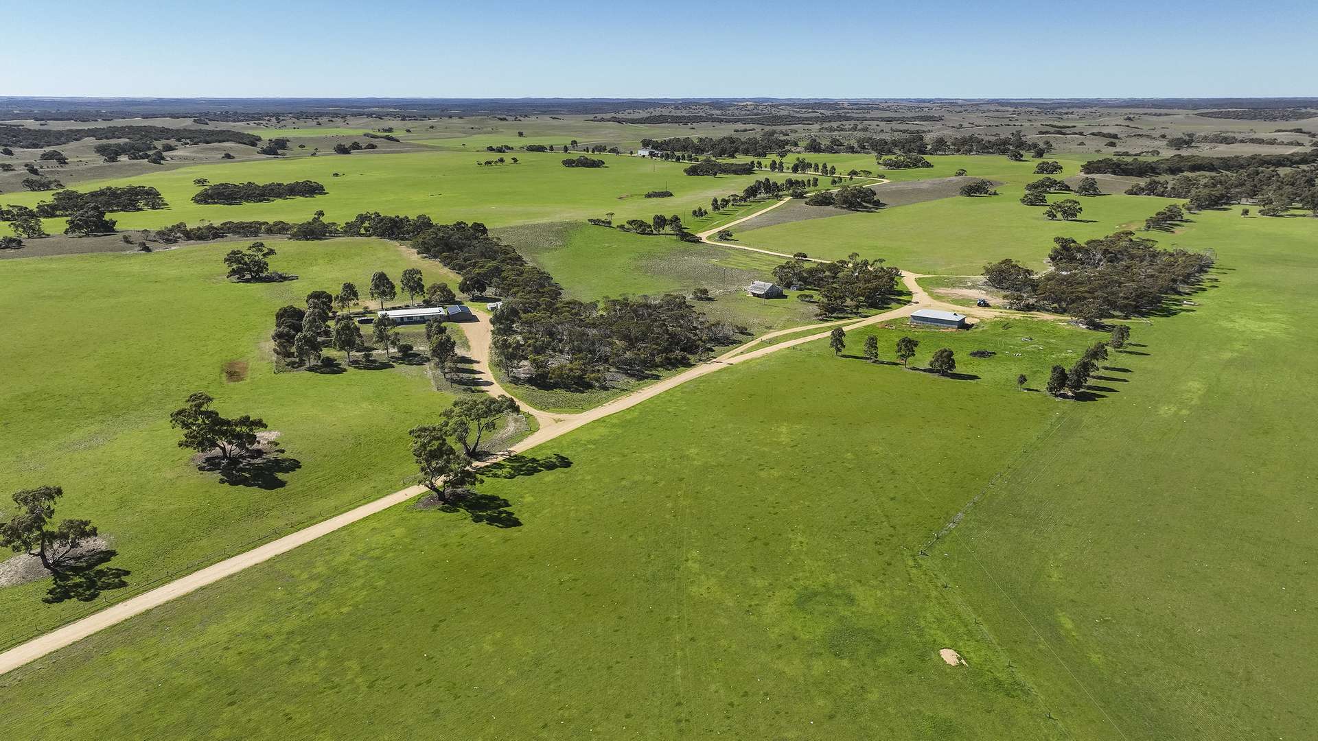 907 Pascoe Road, Coonalpyn For Sale by Farmbuy.com - image 6