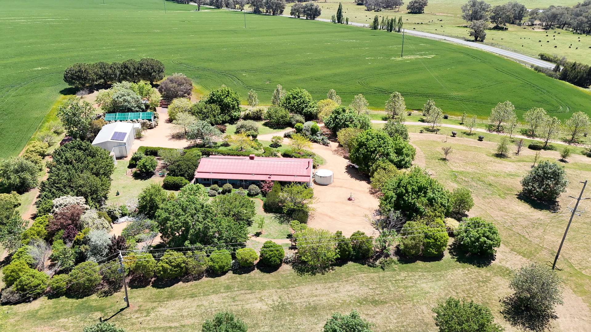 5143 Mid Western Highway, Grenfell Sold by Farmbuy.com - image 21