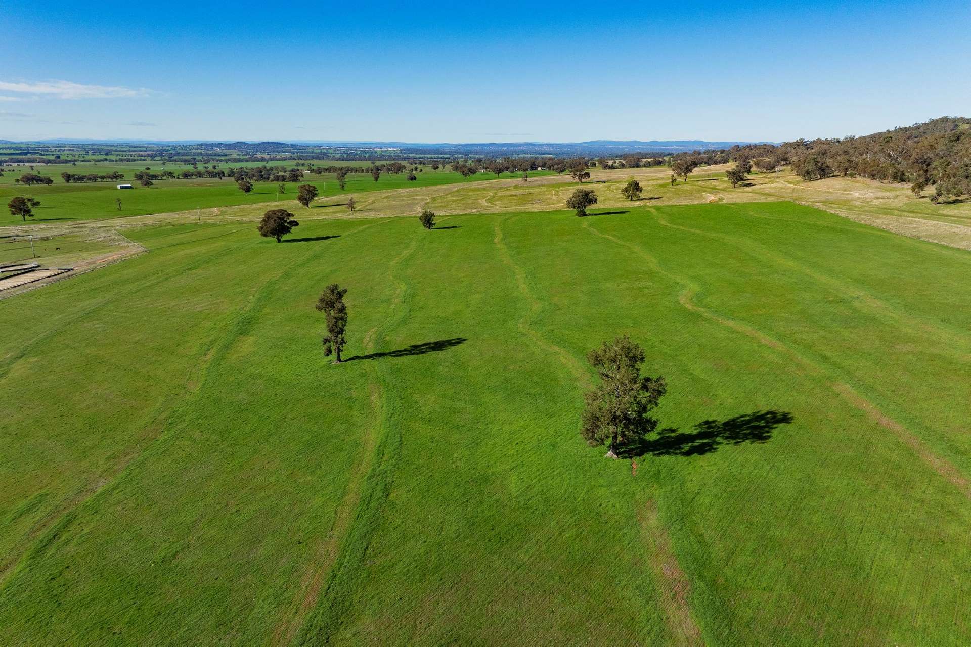 945 The Gap Road, Wagga Wagga For Sale by Farmbuy.com - image 14