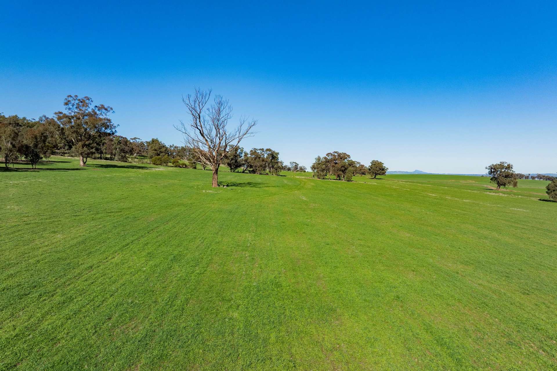 945 The Gap Road, Wagga Wagga For Sale by Farmbuy.com - image 7