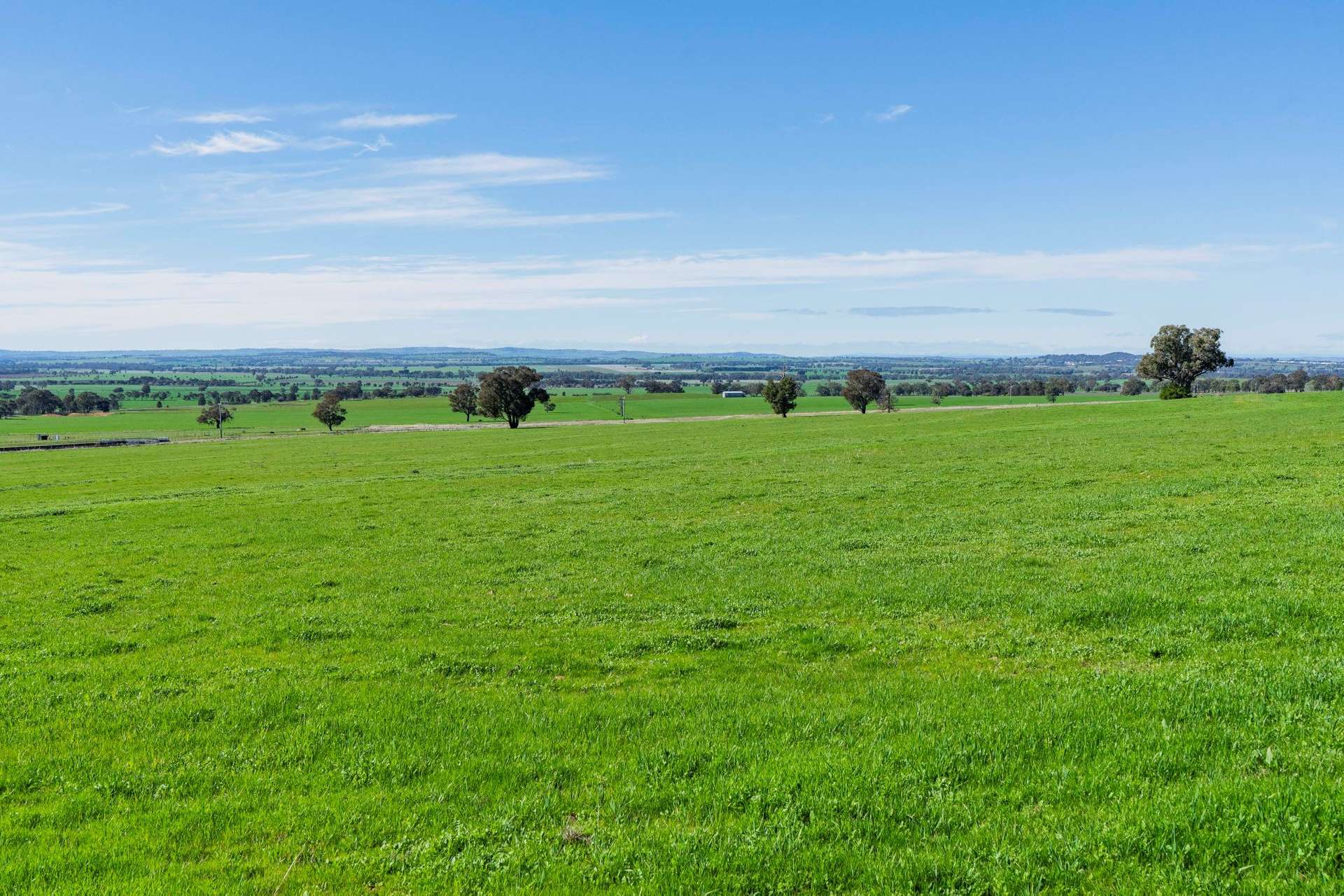 945 The Gap Road, Wagga Wagga For Sale by Farmbuy.com - image 2