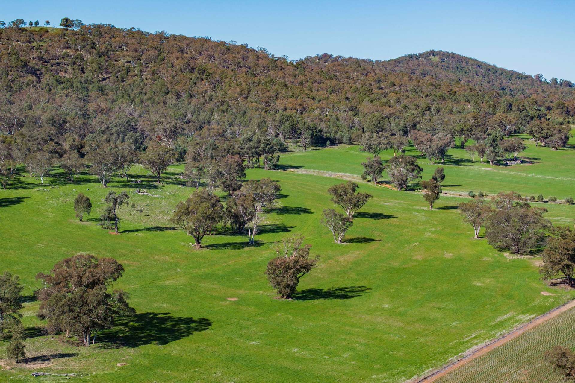 945 The Gap Road, Wagga Wagga For Sale by Farmbuy.com - image 8