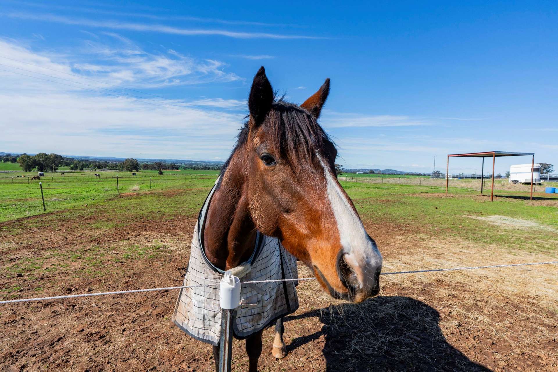 945 The Gap Road, Wagga Wagga For Sale by Farmbuy.com - image 10