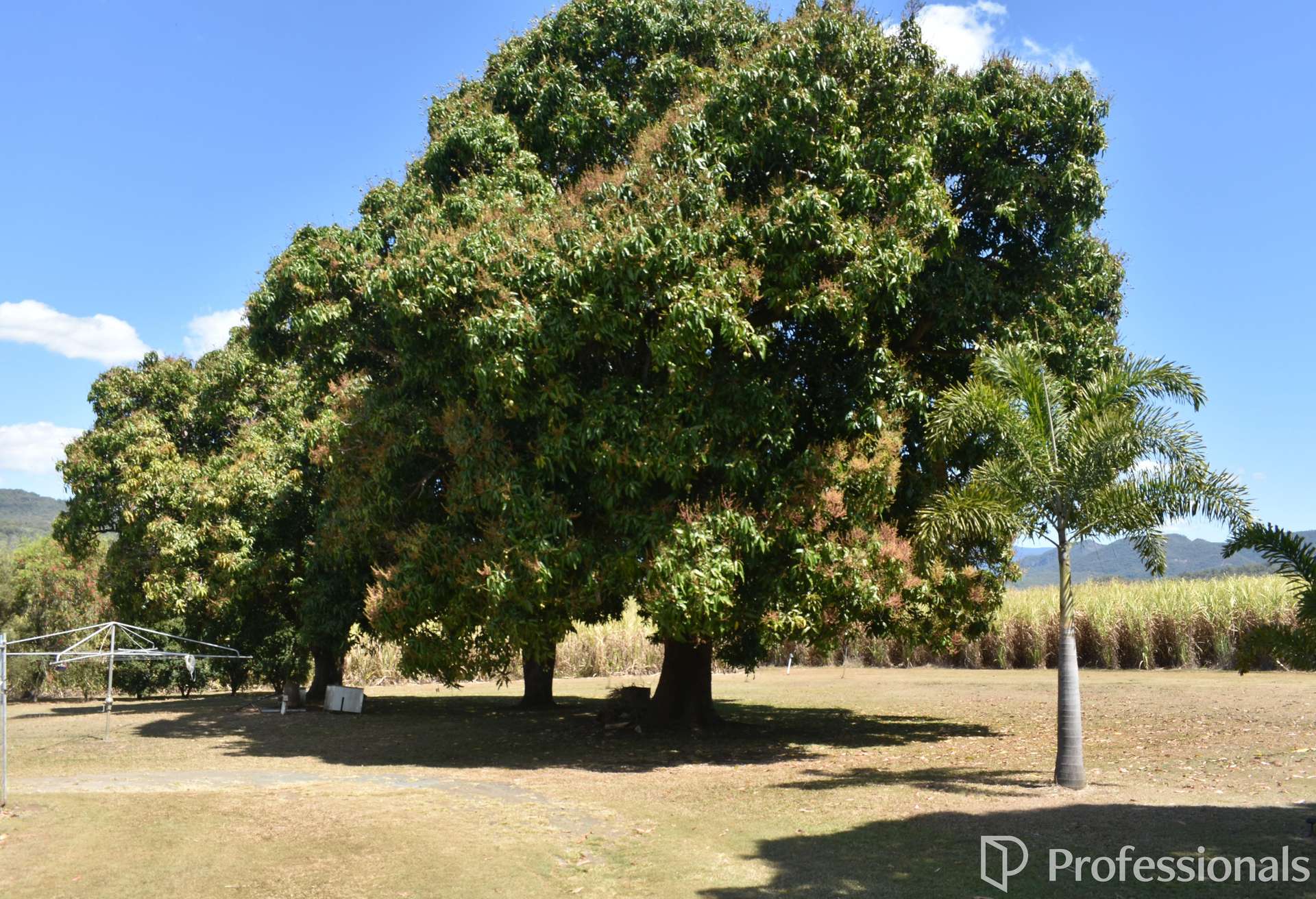 154 Jorgensens Road, Calen Sold by Farmbuy.com - image 13