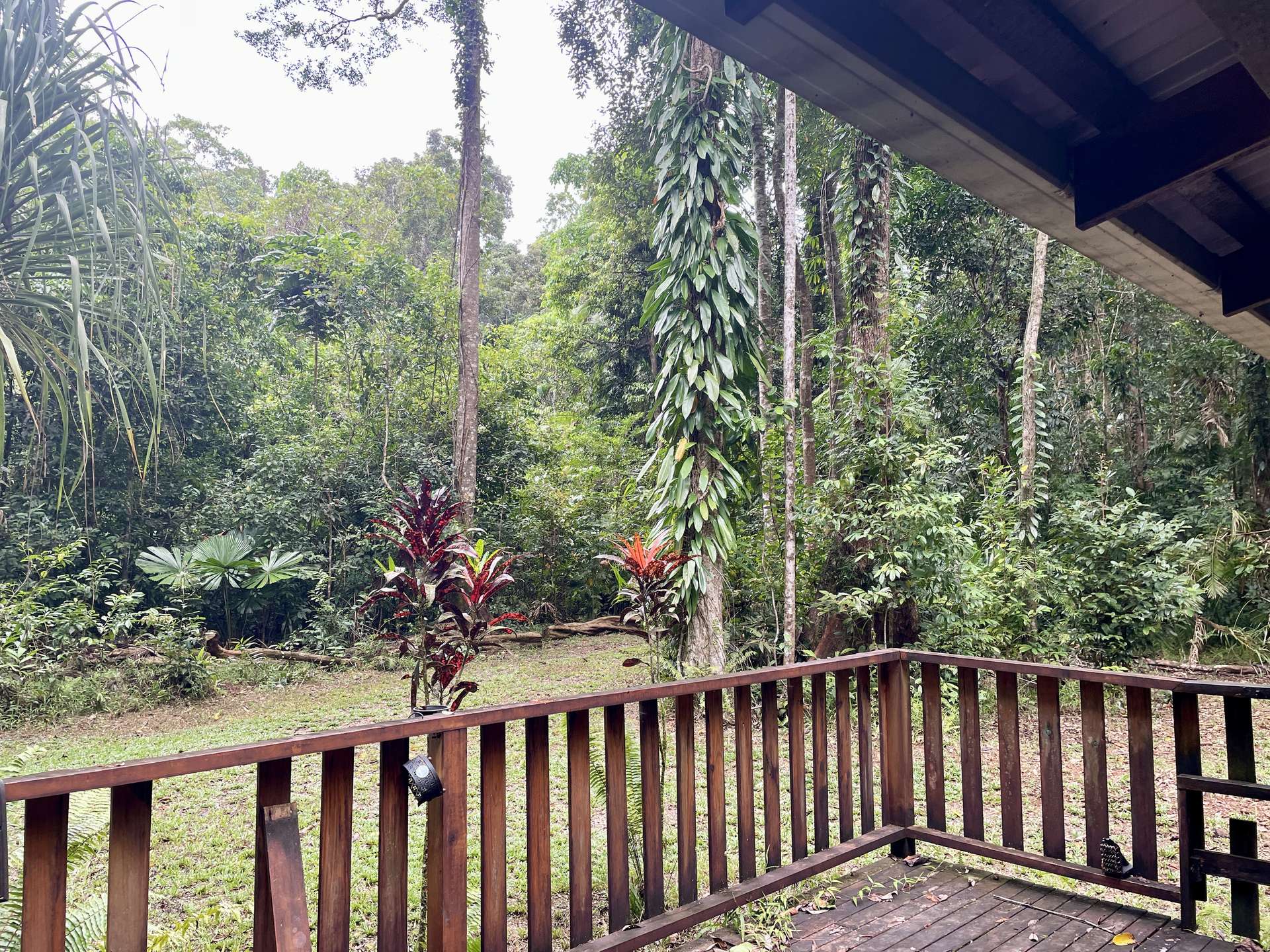 Lot 460 Black Bean Road, Daintree Sold by Farmbuy.com - image 2